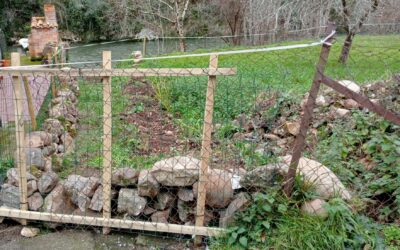 Nuevas obras, y sin licencia