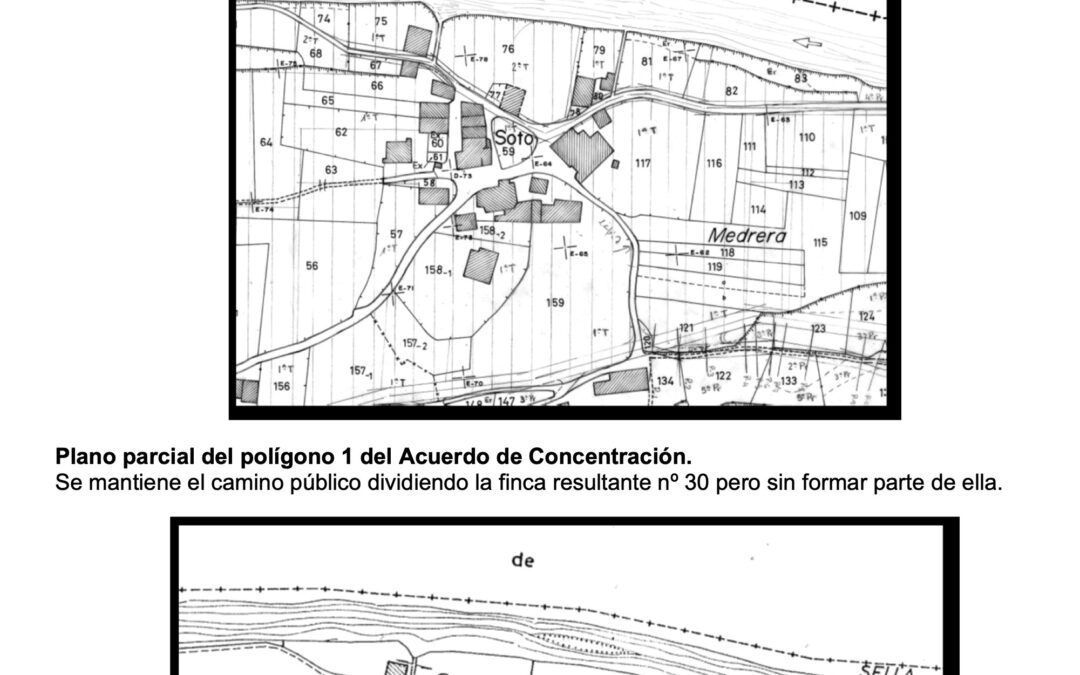 Informe de Medio Rural