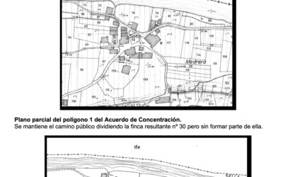 Informe de Medio Rural
