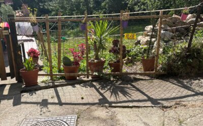Verano, calor y camino cerrado